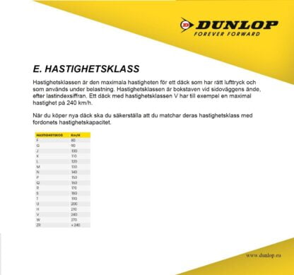 Dunlop Tt100 Gp 180/55Zr17 (73W) Tl Re